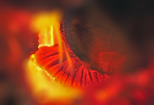 Kiss of the fire force