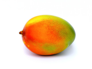colorful mango on a white background