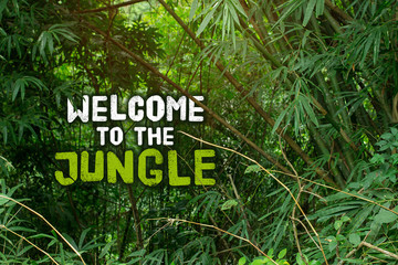 Welcome to the jungle.  Head to head competition in the urban ju
