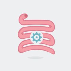 Small intestine vector illustration