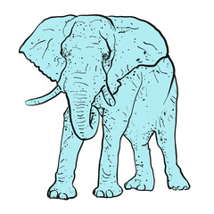 Elefant Outline Punkte koloriert Blau