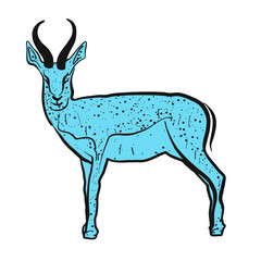 Antilope Springbok koloriert blau