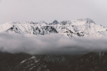 Fototapeta na wymiar black and white mountains in winter