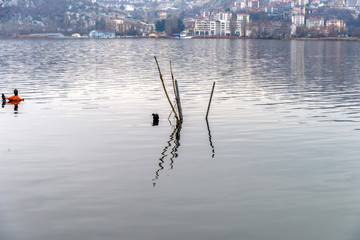 Foggy winter scenery at the lake of Kastoria Greece, during a he - 136317562