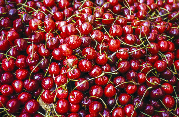 Fresh Cherries