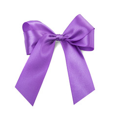 Beautiful violet bow.