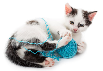 kitten playing with yarn ball