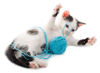 kitten playing with yarn ball - 136319733