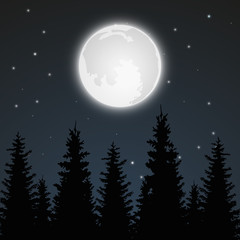 Fototapeta na wymiar Full moon in the night sky, vector background