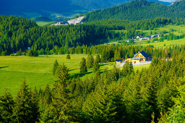Rural cottage in the mountains and green meadow. . Slovakia.