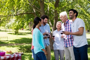 Happy family interacting while having red wine in park