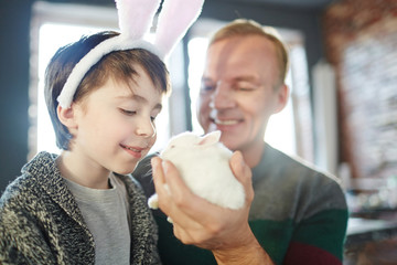 Boy with rabbit ears looking at small fluffy bunny