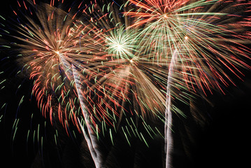Fireworks light up the sky