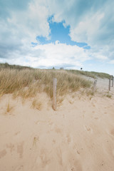 Dünenlandschaft an der Ostsee