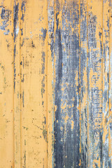 Les cabanes ostréicoles