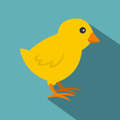 Chick icon , flat style