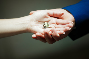 wedding