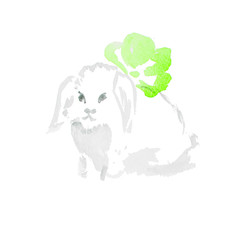 watercolor white rabbit