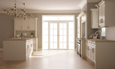 Classic kitchen, scandinavian minimal interior design with woode