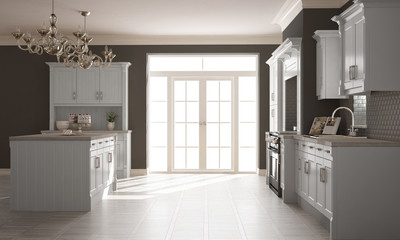 Classic kitchen, scandinavian minimal interior design with woode
