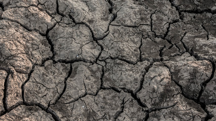 Texture cracks in the ground