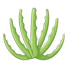 Agave icon, cartoon style
