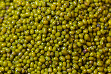 Green bean