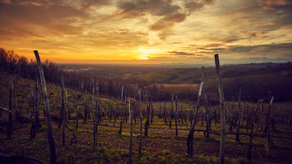 Obraz premium Colline vigne con tramonto spettacolare