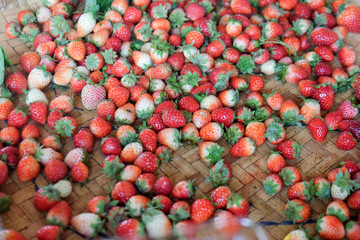 Fresh strawberries