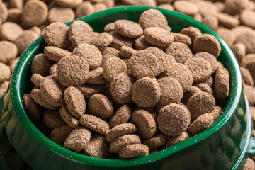 Dried dog food background
