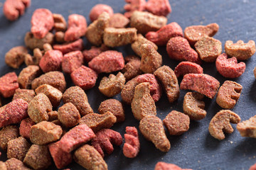 pets food on the floor