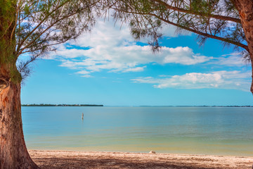 tree branches creating a border around the frame. The sandy secluded beach, views of the bay. view of the ocean from the bay under the tree crowns
