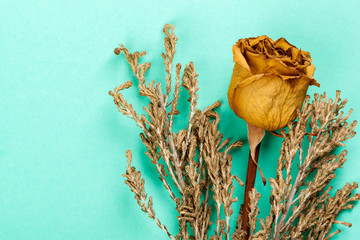 Single dried rose