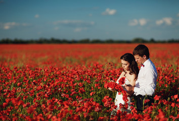 young couple collects poppies in the field