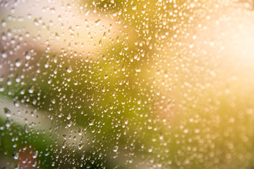 Rain / Water drop of rain on glass with blur green tree outdoor