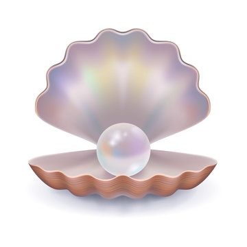 Pearl in open shell