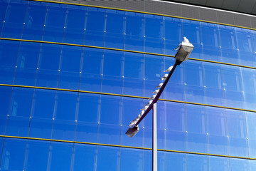 Möwen auf moderner Straßenbeleuchtung sitzend