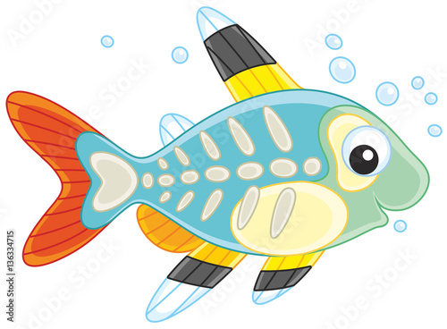 "X-ray fish" Stock image and royalty-free vector files on Fotolia.com