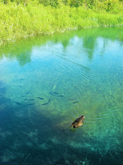 Plitvice Lakes National Park