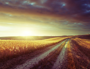 Tuscany sunny road, Italy