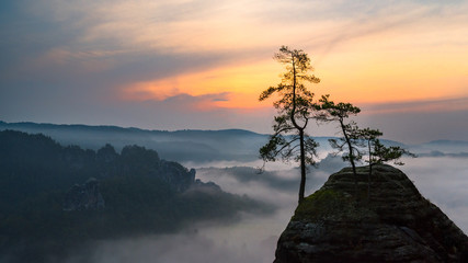 Sonnenaufgang in der sächischen Schweiz