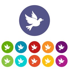  Dove set icons