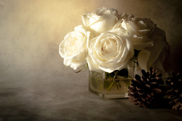 rose flowers close up on background. .