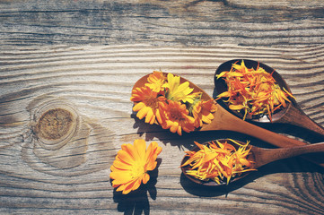 Yellow flowers and petals of a calendula in a wooden spoons on a textural wooden surface. Medicinal flowers of a marigold.    - obrazy, fototapety, plakaty