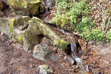 Tauwasser am Lac Pavin, Vulkanauvergne