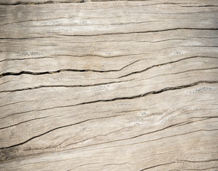Texture wood oak older style, background wooden old dirty