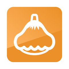 Pattypan squash outline icon. Vegetable vector