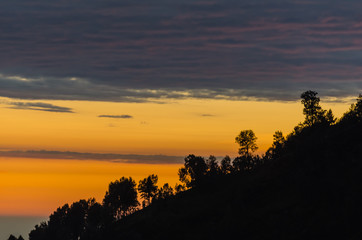 sonnenaufgang mit baeume am berg