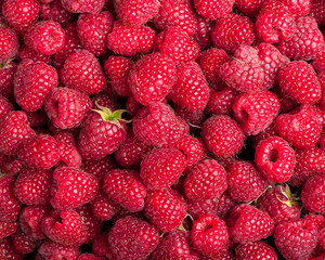Many sweet fresh raspberry fruit