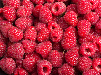 Fresh raspberries